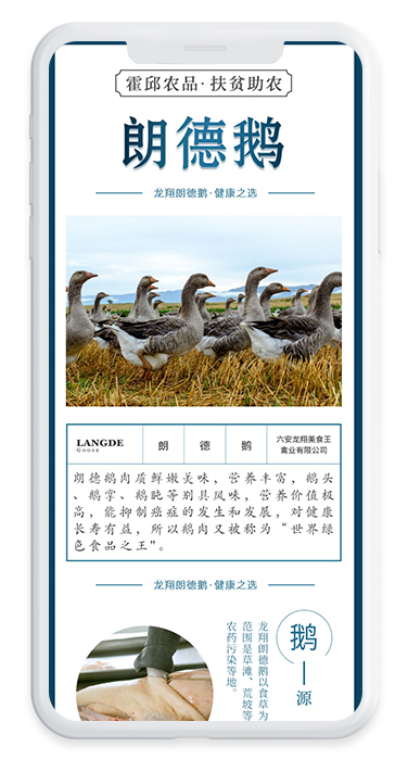 霍邱農(nóng)品扶貧助農(nóng)